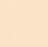 Керамическая плитка Радуга 6П бежевая напольная RAD 330х330 Пиастрелла (9/612) в Хабаровске в интернет-магазине Стромикс